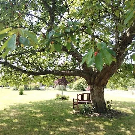 Lägenhet Domaine Des Cerisiers