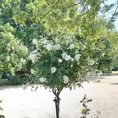 Lägenhet Domaine Des Cerisiers *