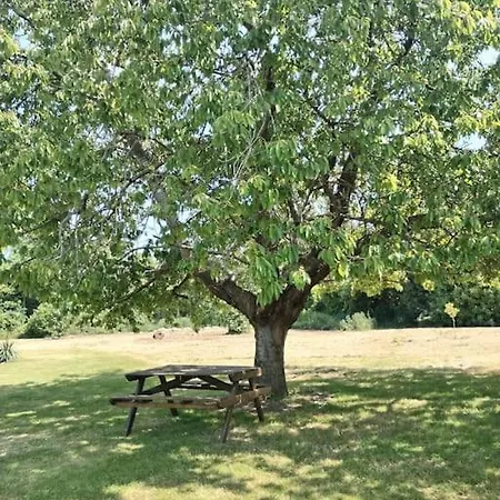 Domaine Des Cerisiers *