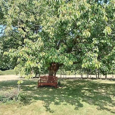 Domaine Des Cerisiers Berville-sur-Mer