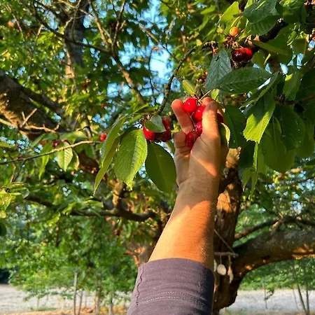 Domaine Des Cerisiers דירה