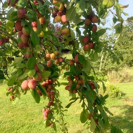 דירה Domaine Des Cerisiers