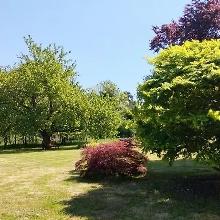Apartment Domaine Des Cerisiers - Piste Cyclable Reliant Honfleur - Parking Prive & Grand Jardin *