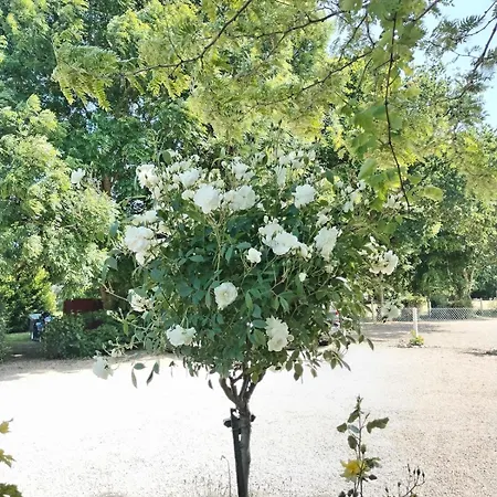 Domaine Des Cerisiers *