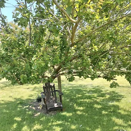 Domaine Des Cerisiers